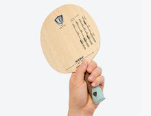 Load image into Gallery viewer, Novus 19 Aigis