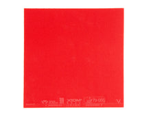 Load image into Gallery viewer, VEGA Intro